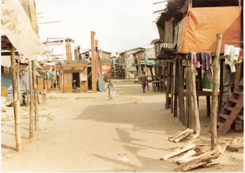 fruits basket wallpaper zodiac. list of fruits basket